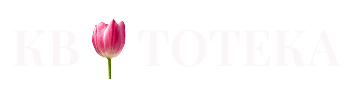 Kwitoteka