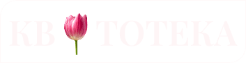 Kwitoteka